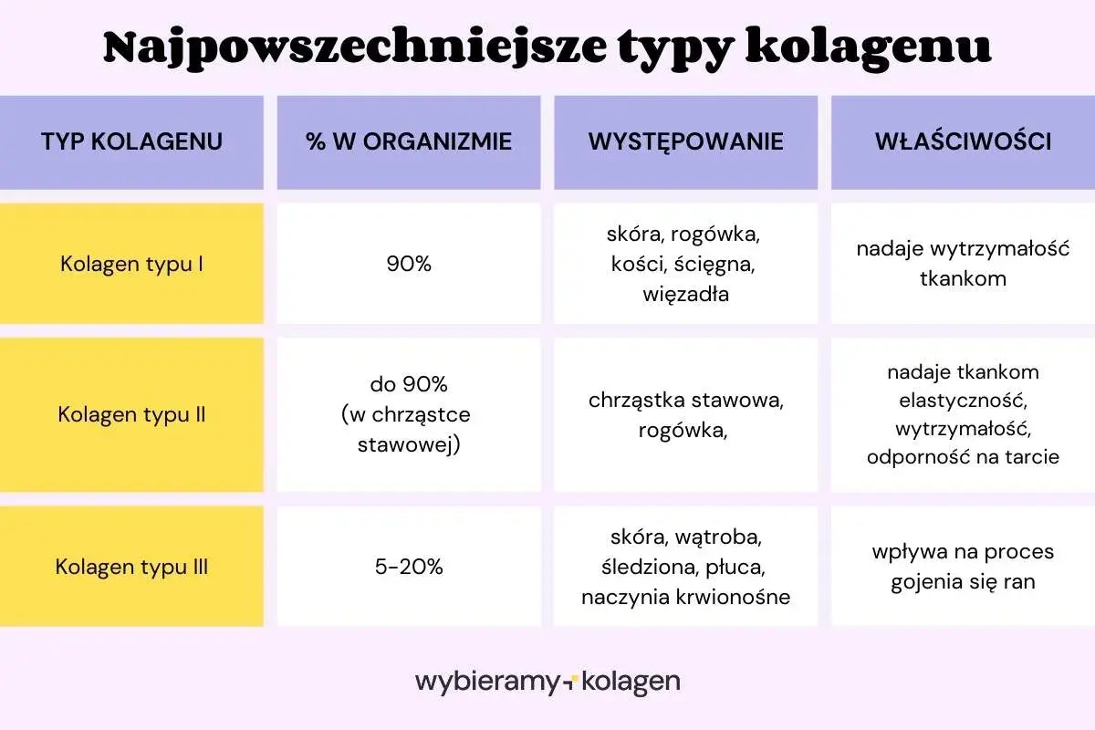 Tabela porównuje typy kolagenu: I (90%, skóra, kości, wytrzymałość), II (chrząstki, elastyczność) i III (narządy wewnętrzne, gojenie).